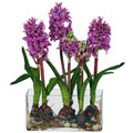 Green Academy - florists: bouquets