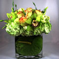 Green Academy - florists: bouquets
