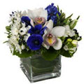 Green Academy - florists: bouquets