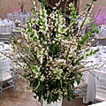 Green Academy - florists: events