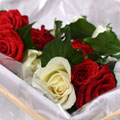 Green Academy - florists: weddings
