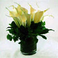Green Academy - florists: weddings
